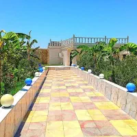 فروش-ویژه-باغ-500متر-بن-جعفر-با-برق