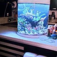 آکواریوم شرکتی با لوازم و ماهی