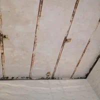 گچ کاری وخورده کاری گچ ونسب وتهیه دیوارگچی ومصالح|خدمات پیشه و مهارت|قم, آذر (نکویی)|دیوار