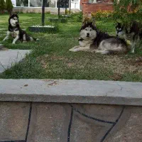 مشاوره و ارزیابی املاک حل دعاوی ملکی