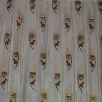 پرده حریر خارجی(ترک)|پرده، رانر، رومیزی|اصفهان, ارداجی|دیوار