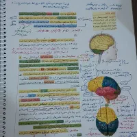 کتاب زیست دهم یازدهم دوازدهم|کتاب و مجله آموزشی|قم, شهرک امام حسین|دیوار