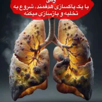 رهایی از اعتیاد با گروه طب سنتی رویال|آرایشی، بهداشتی، درمانی|توکهور, |دیوار