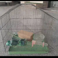 قفس پرنده