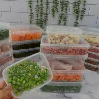 ظرف فریزری درب دار به قمیت کارخانه