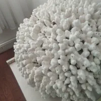 فروش فسیل مرجان خیلی بزرگ وسنگین