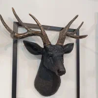 سردیس و دیوارکوب گالری رضا مرشد|مجسمه، تندیس، ماکت|گلبهار, شهر جدید گلبهار|دیوار