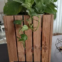 باکس گلدان ترمود چوبی
