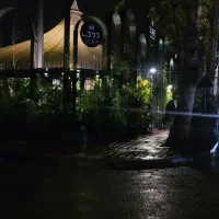 سالندار و کمک آشپز در رستوران دوک|استخدام خدمات فروشگاه و رستوران|رشت, کاکتوس|دیوار