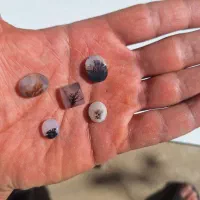 سنگ انگشتر قیمت کاسبی|جواهرات|ساوه, |دیوار