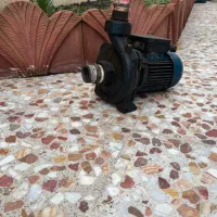 پمپ آب پنتاکس دو اسب دواینچ|عمدهفروشی|بابل, |دیوار