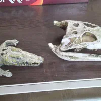 دو عدد مجسمه