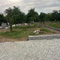 فروش زمین 4 دیواری زمین پدری دست اول|فروش زمین و ملک کلنگی|تنکابن, |دیوار