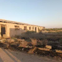 ۲۵۰۰ متر سند زمین گاوداری صنعتی|فروش دفتر صنعتی، کشاورزی، تجاری|میاندوآب, |دیوار