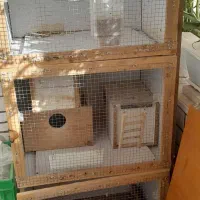 قفس‌دست‌ساز