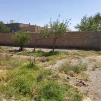 زمین خانه باغ|فروش زمین و ملک کلنگی|تربتحیدریه, بالا ولایت|دیوار