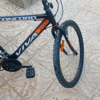 دوچرخه سایز ۲۶|دوچرخه، اسکیت، اسکوتر|سرخه, |دیوار