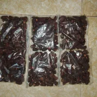 خرما خارک دونه ای 70