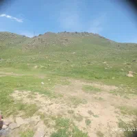 درمان بیش فعالی