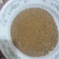 بذر یونجه نو