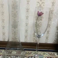 تنگ شیشه ایی|گل و گیاه طبیعی|کرج, کارخانه قند|دیوار