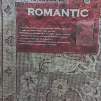 فرش ۱۲متری نونو|فرش|شیراز, فرهنگ شهر|دیوار