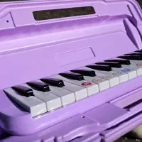 پخش ملودیکا همکار و عمده