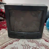 تلویزیون