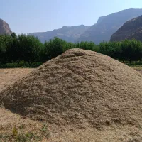 یونجه کوبیده شده فروشی