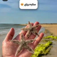 تور ۲/۵روزه سفر به لاوان و مارو ۲۱تا۲۳ آبان