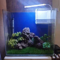 آکواریوم شیشه خم شرکتی