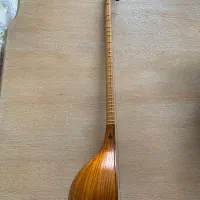 سه تار (برقی جانی)