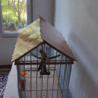 قفس آهنی بزرگ