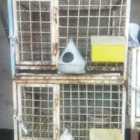 قفس جفت گاه