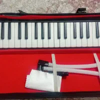 ملودیکا سوان