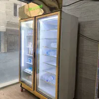 یخچال و فریزر دوقلو استیل طلایی دو موتوره|فروشگاه و مغازه|تهران, دولتخواه جنوبی|دیوار