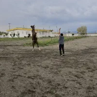 نگهبانی و باغبانی