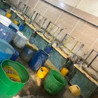 کارگر شب کار برای ابکاری گردون