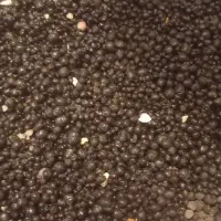 اکواریوم ۳ سایز ، خاک بستر ، فیلتر ، سنگ و شن|ماهی|قم, زنبیل آباد|دیوار