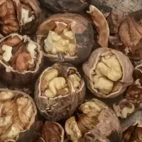 مطابق عکس۵تن بادام گردولپه لوبیا مویزعدس برنج گوشت