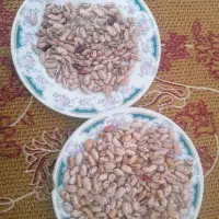 لوبیا چیتی ،ولوبیاباقالی