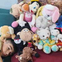 عروسک پولیشی