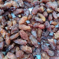 کشمش آفتابی یا گله