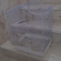 فروش قفس پرنده