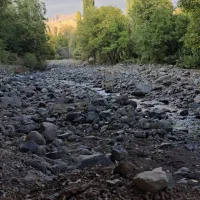 فروش-فوری-باغ-گردو-و-سیب