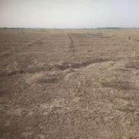 زمین کشاورزی