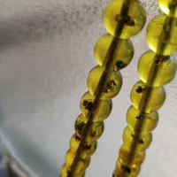 تسبیح اصلی کهربامورچه ی