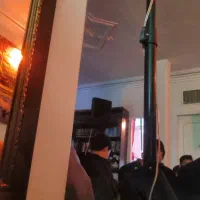 یک جفت باند دایناکورد D12 پسیو