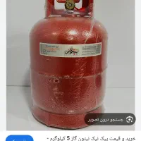 پیک نیک ۵ کیلویی نونو|اجاق گاز و لوازم برقی پخت‌وپز|فیروزه, |دیوار