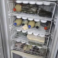 یخچال فریزر|یخچال و فریزر|اهواز, کوی باهنر|دیوار